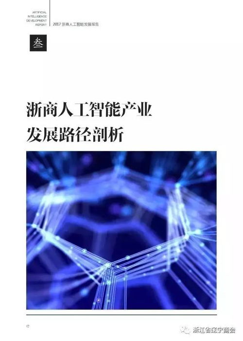 2017浙商人工智能发展报告 应用开发的新格局与未来展望
